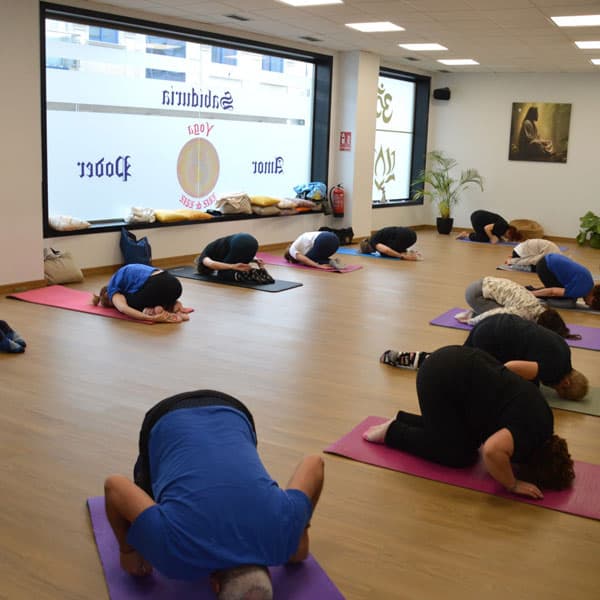 Escuela Luz de Luz: un espacio seguro para sanar y evolucionar