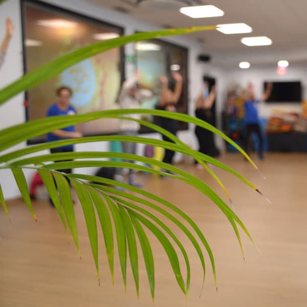 Escuela Luz de Luz: un espacio seguro para sanar y evolucionar